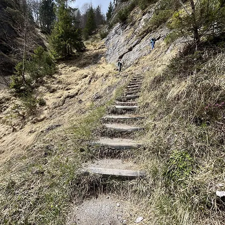 Alpenparadies Reit im Winkl