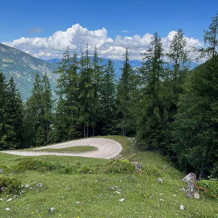 Alpenparadies Apartman Reit im Winkl